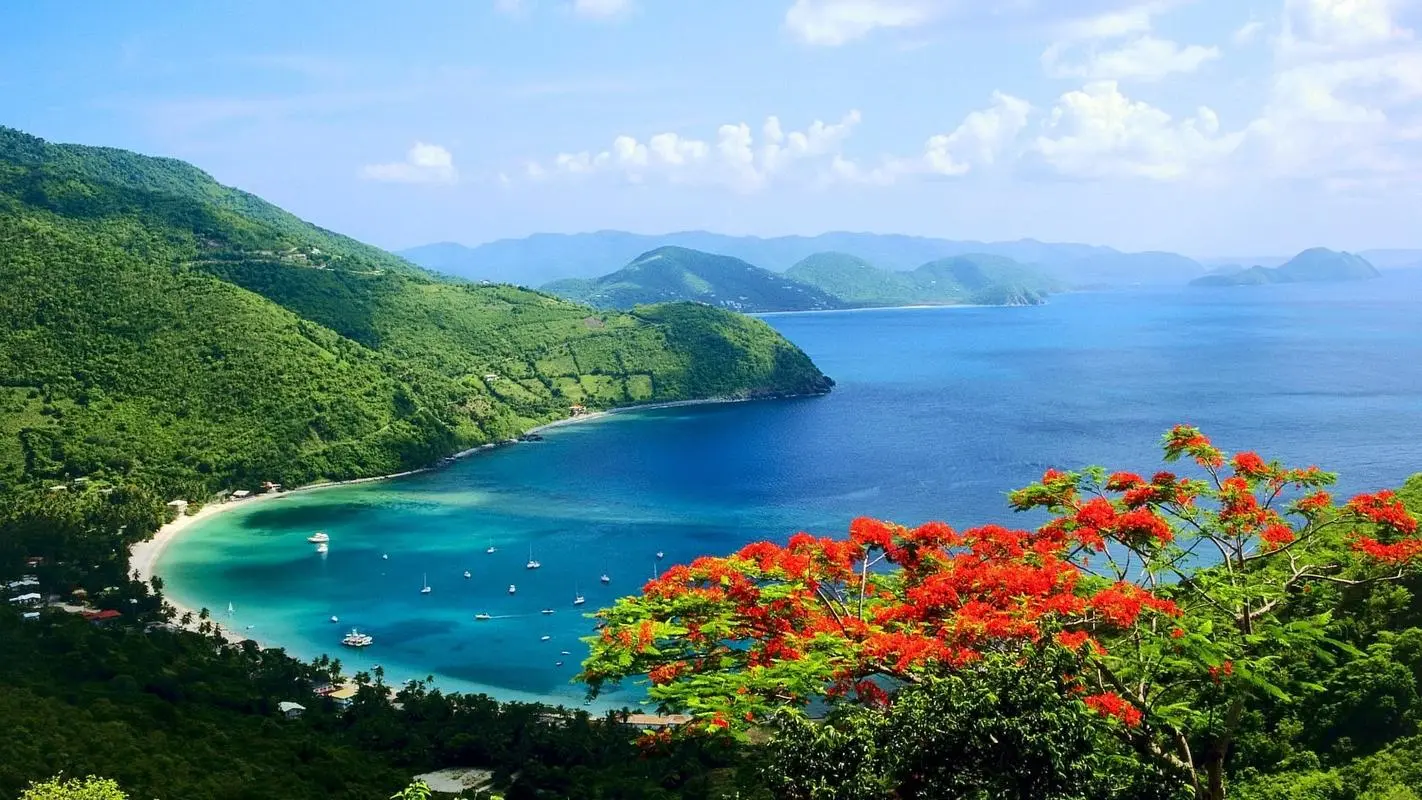 高效稳定性高标准